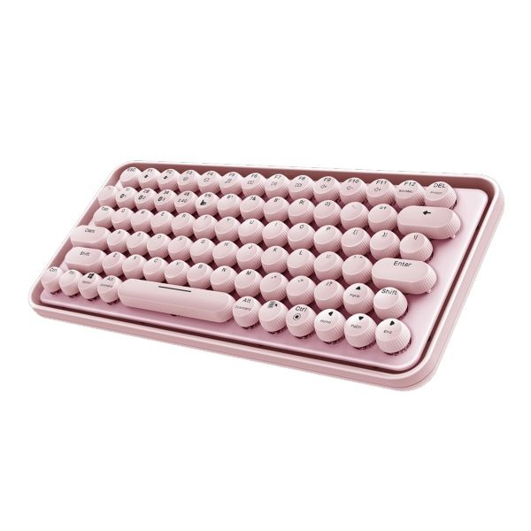 RAPOO6-pink-2-1 Rapoo Ralemo Pre 5