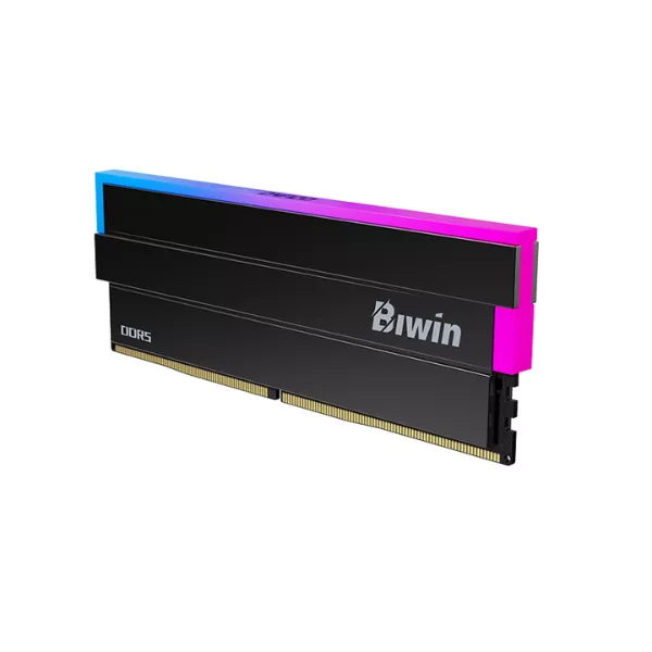 Biwin Black Opal DW100 (3) Biwin Black Opal DW100