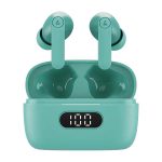 Boat Airdopes 121 PRO Truly Wireless in Ear Buds (Mint Green)
