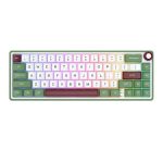 rkr65-_2_ (Custom)